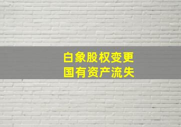 白象股权变更 国有资产流失